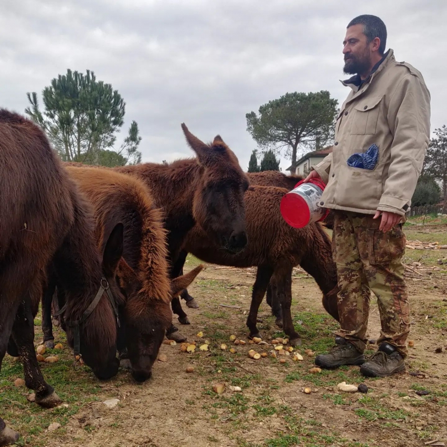 Il territorio che ci piace, il Gallo Larino