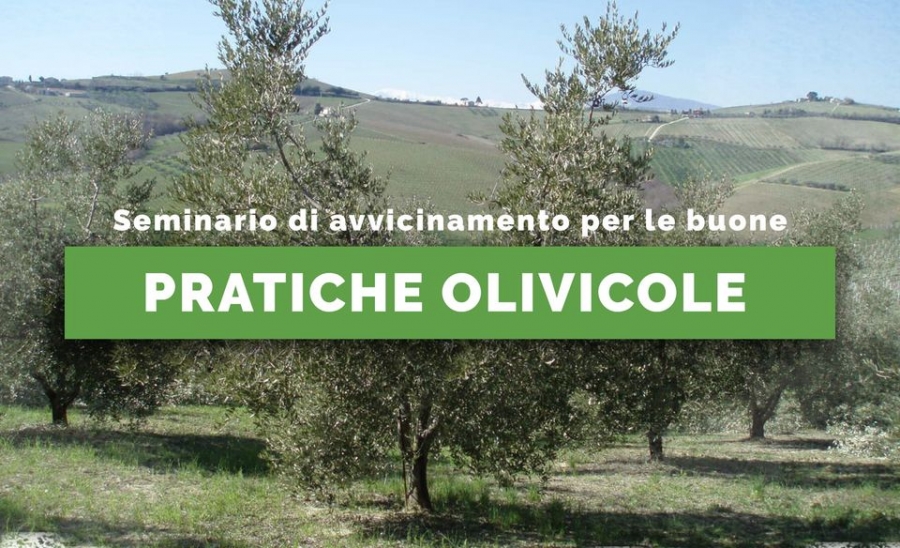 Sulla tragedia dell'olio e del "si &egrave; sempre fatto cos&igrave;"