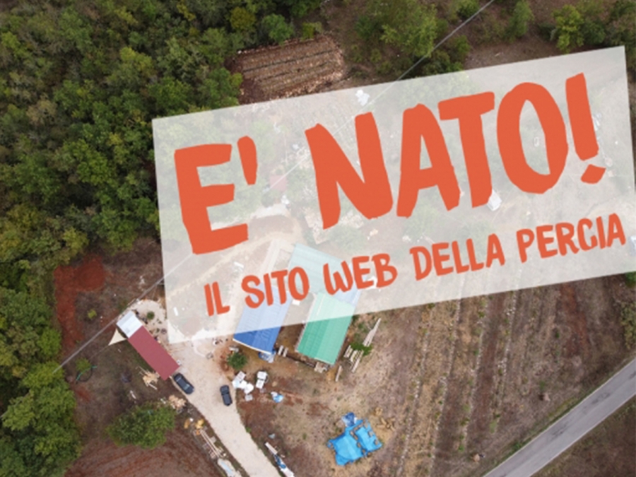 Meglio tardi che mai!