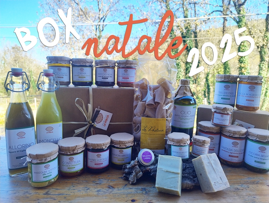 Box di Natale 2025 pronte per te!