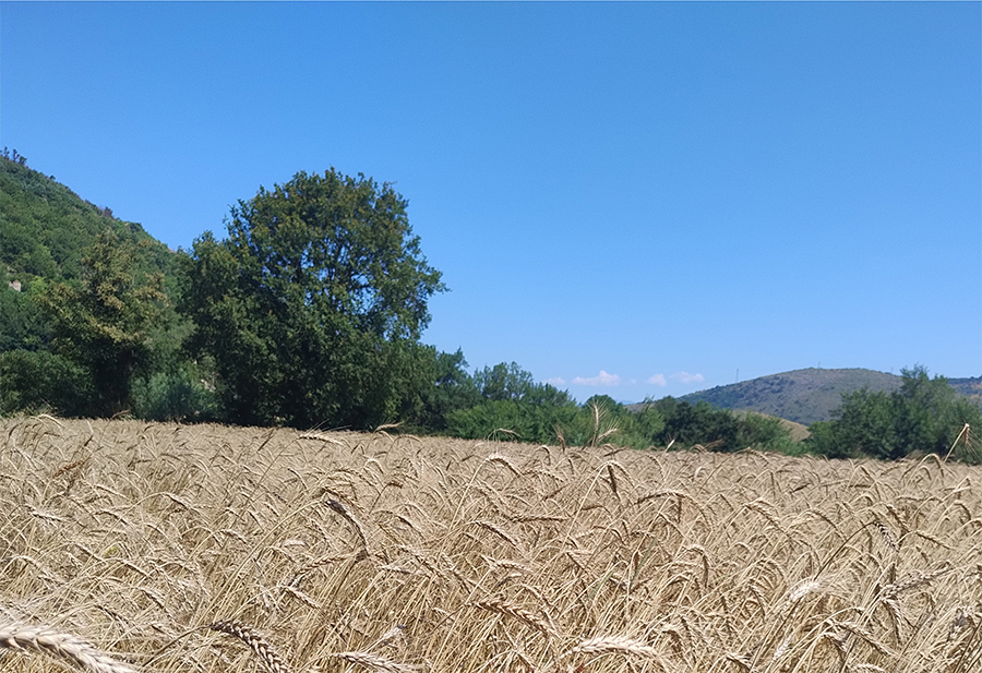 Qualche parola sulla box Origini