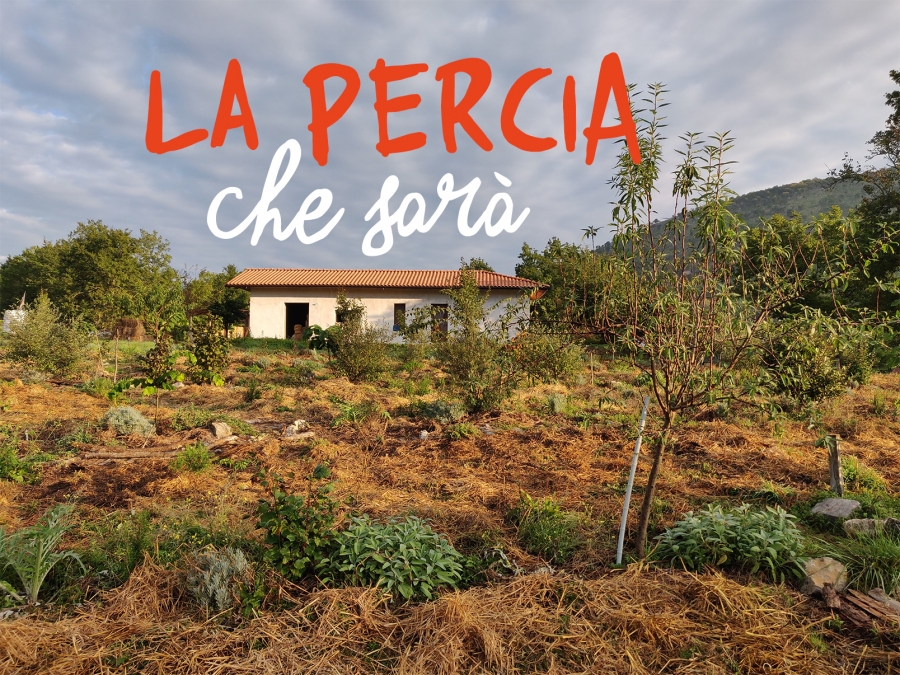 La Percia che sar&agrave;